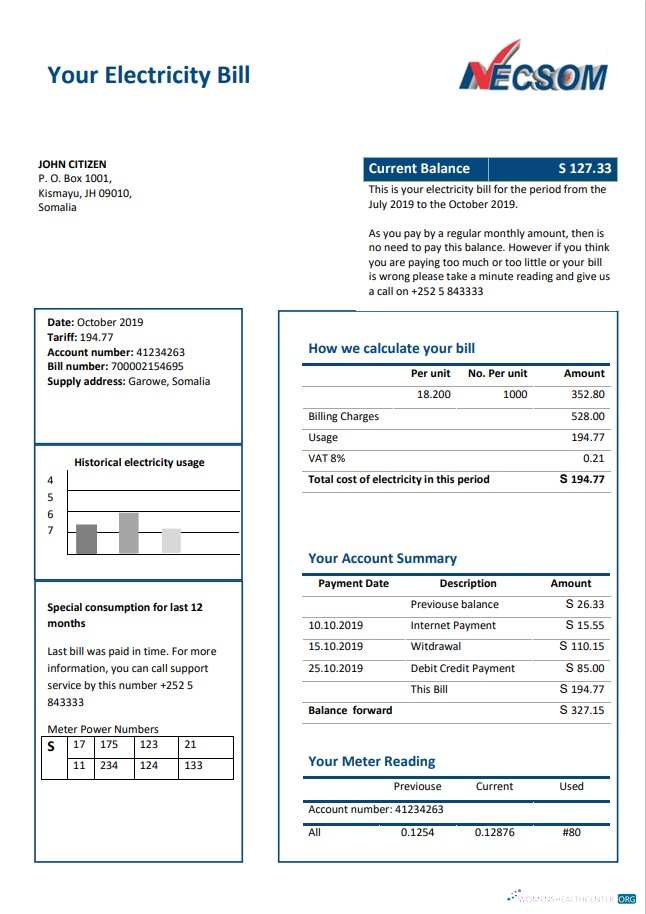 download Somalia NESCOM Company electricity utility bill template in Word and PDF format PDF template